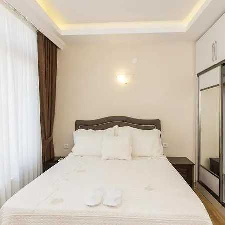 ناز وودين هاوس إن 3* اسطنبول