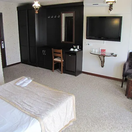 בית הארחה Naz Wooden House איסטמבול