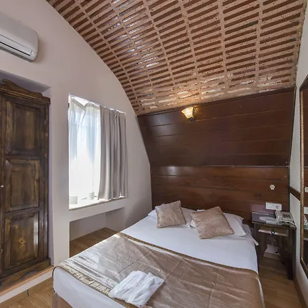 בית הארחה Naz Wooden House איסטמבול