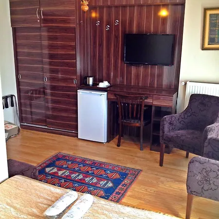 Naz Wooden House Pensionat